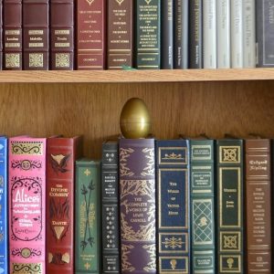 The-golden-egg-hiding-on-the-bookshelf-3