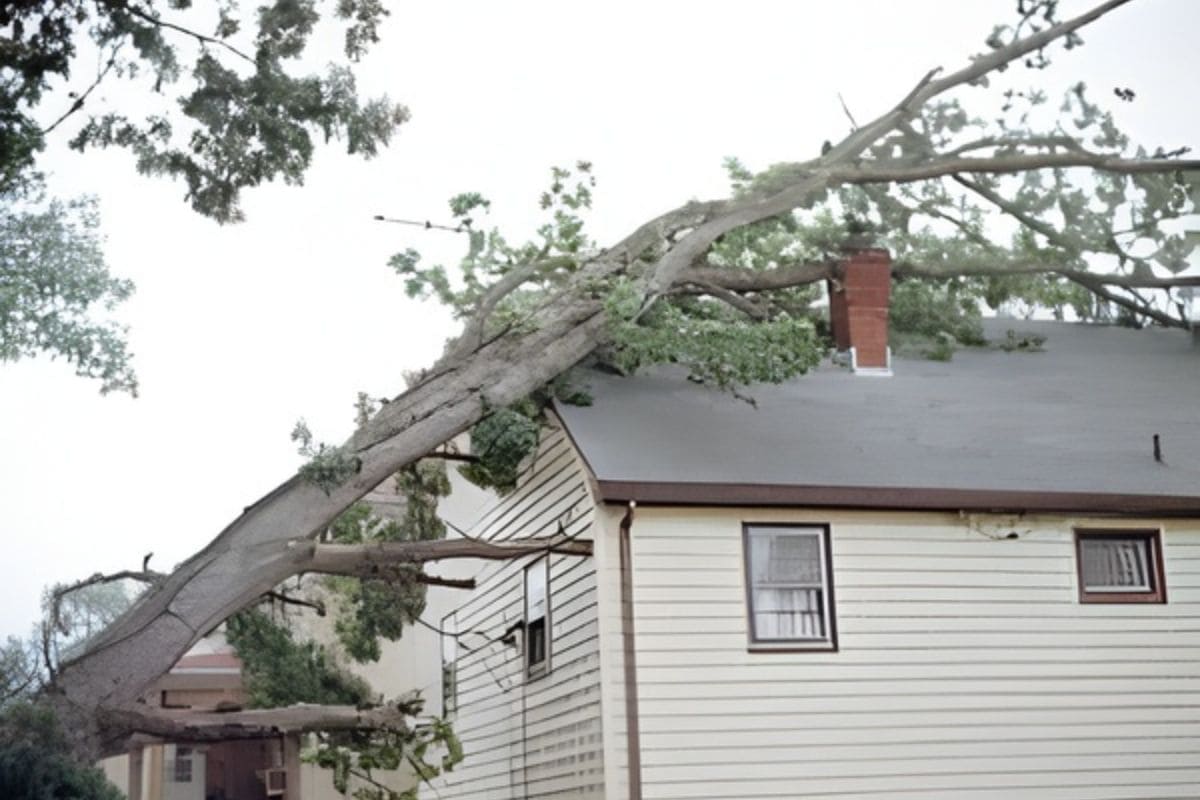 A large tree has fallen onto the roof of a beige house, causing visible damage to the roof and chimney.