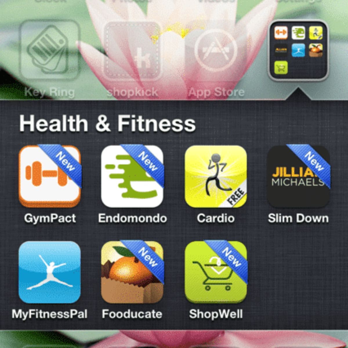 A smartphone screen displays a Health & Fitness folder with seven app icons labeled "New," showcasing some of the best free health fitness apps like GymPact, Endomondo, Cardio, Slim Down, MyFitnessPal, Fooducate, and ShopWell.