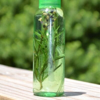 A green plastic spray bottle containing clear liquid and sprigs of rosemary—showcasing creative uses for fresh herbs—rests on a wooden surface with a blurred green background.