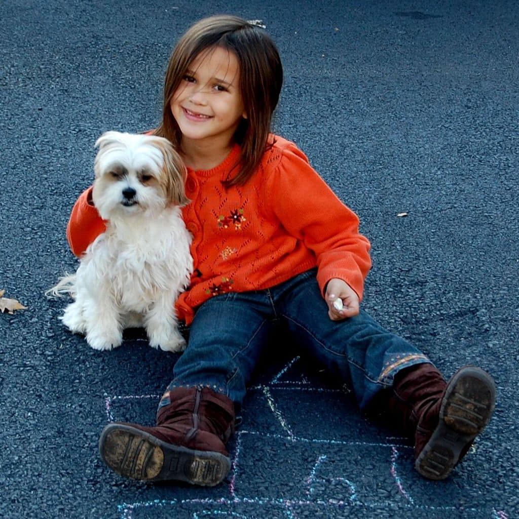 A young girl in an orange sweater sits on asphalt next to a small white dog, holding chalk with a hopscotch pattern drawn beneath them, demonstrating child safety with dogs during playtime.