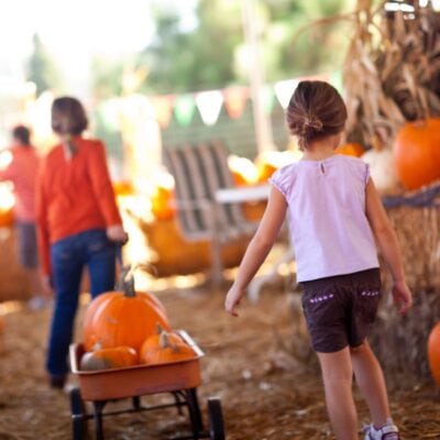 Two children walk through a pumpkin patch at a fall festival; one pulls a red wagon filled with pumpkins, while hay bales and festive bunting appear in the background.