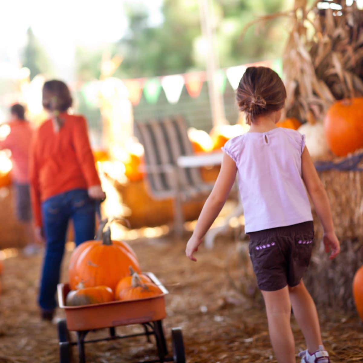 Two children walk through a pumpkin patch at a fall festival; one pulls a red wagon filled with pumpkins, while hay bales and festive bunting appear in the background.