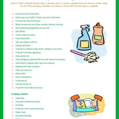 The 5 day cleaning list