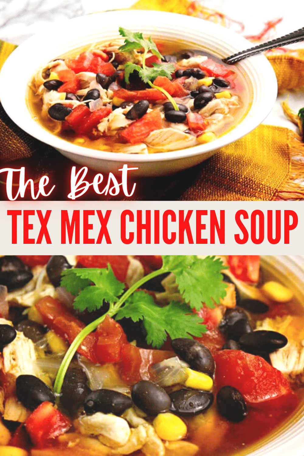 If you like Tex Mex flavors you are going to love this soup! It's full of your favorite flavors that are made even better with a secret ingredient. #texmex #soup #recipes via @wondermomwannab