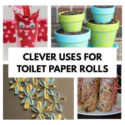 Collage showing crafts using toilet paper tubes: a decorated holder, painted pots, wall art with floral shapes, and bird feeders coated with seeds. Text reads, “Clever uses for toilet paper rolls.”.