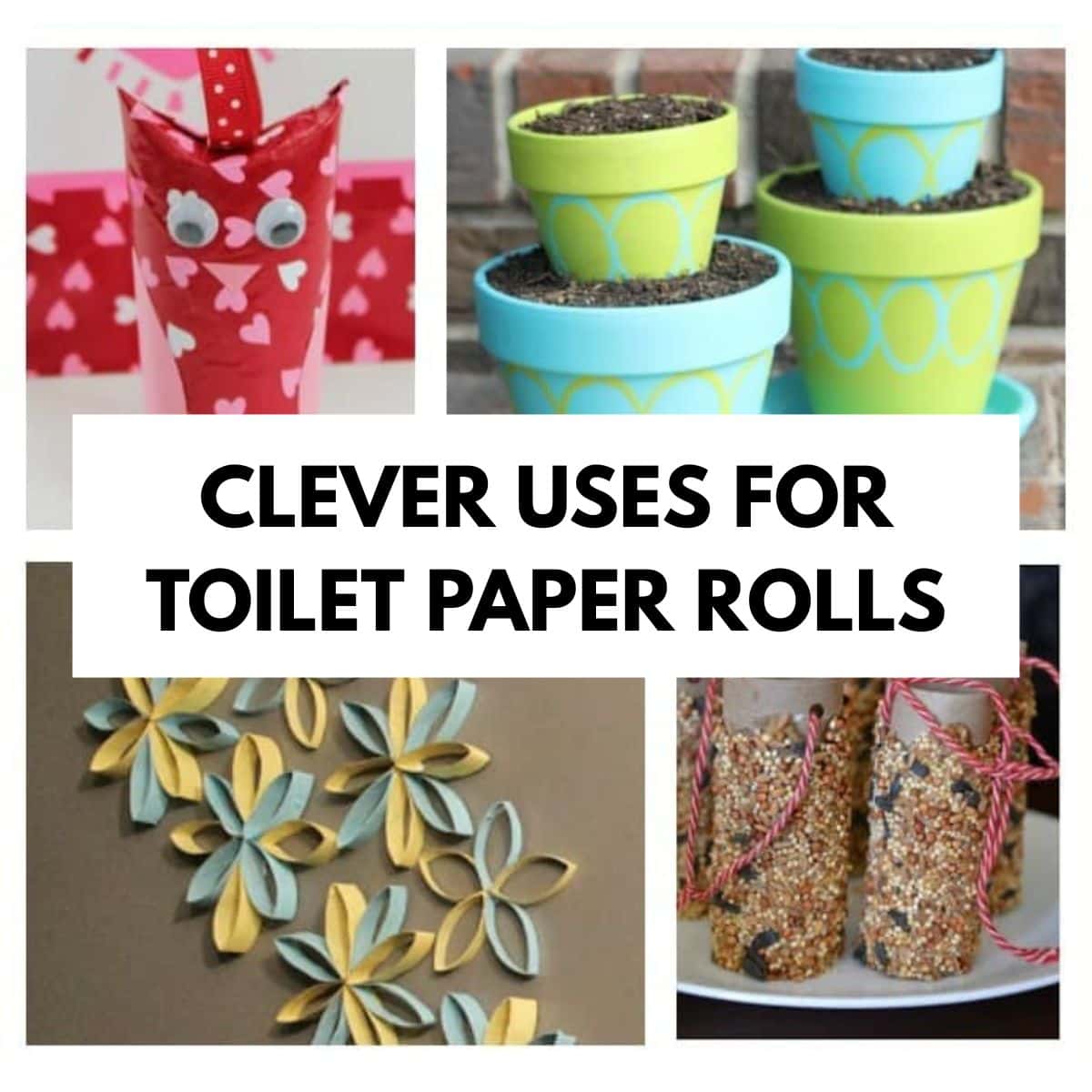 Collage showing crafts using toilet paper tubes: a decorated holder, painted pots, wall art with floral shapes, and bird feeders coated with seeds. Text reads, “Clever uses for toilet paper rolls.”.