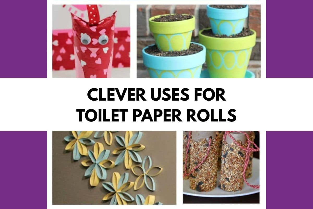 Collage of crafts using toilet paper tubes, including a heart-covered tube, painted plant pots, decorative wall art, and bird feeders, with the text "Clever Uses for Toilet Paper Rolls" in the center.