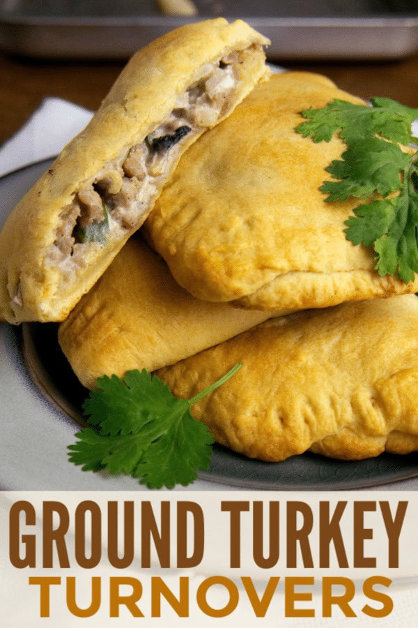 Three golden-brown ground turkey turnovers rest on a plate, one cut open to reveal the savory filling inside, garnished with fresh cilantro.