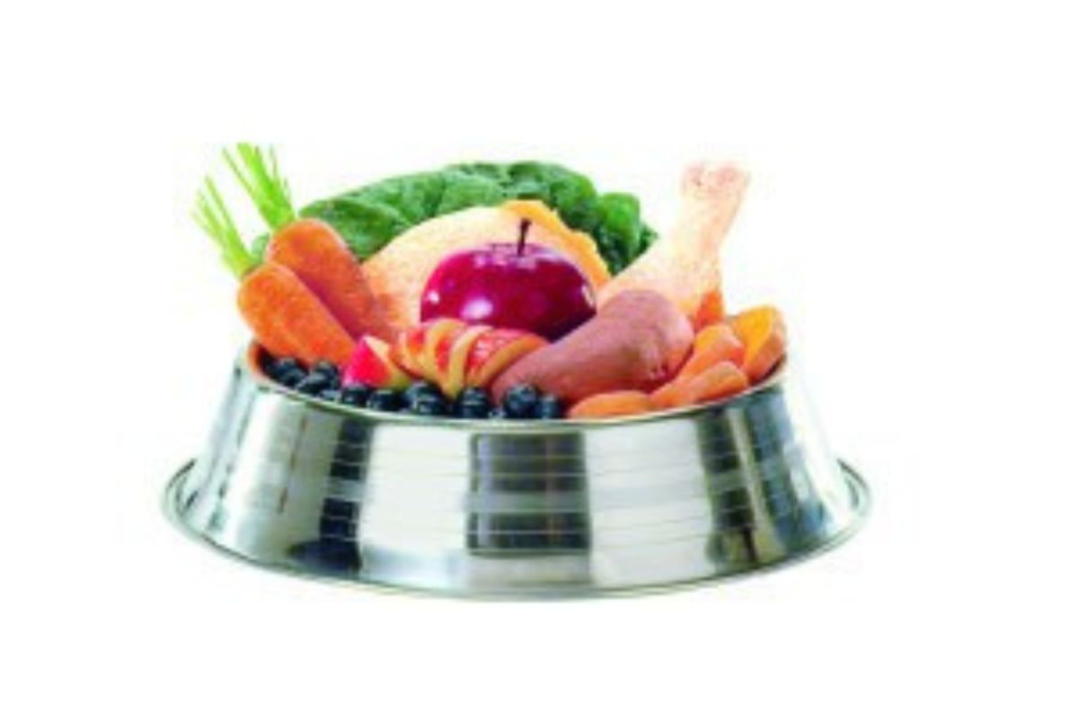 A metal pet food bowl filled with various fruits, vegetables, and a cooked chicken drumstick.