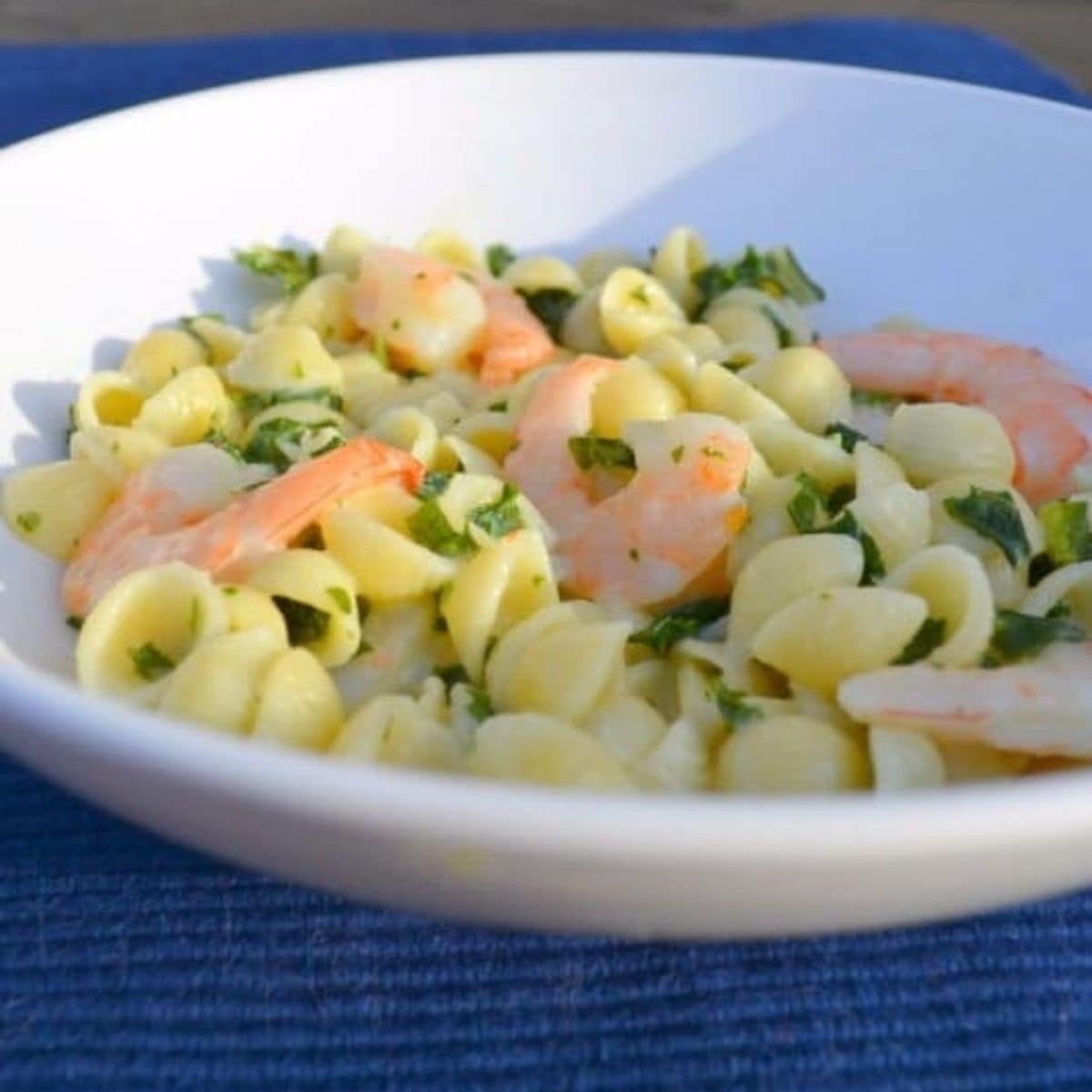A white bowl filled with shell pasta, shrimp, and chopped herbs, set on a blue surface—a quick and easy dinner recipe perfect for busy weeknights.
