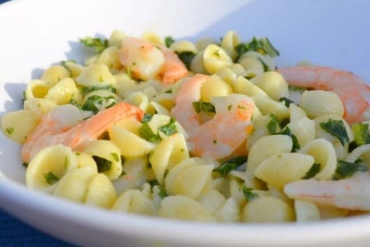 A white bowl filled with shell pasta, shrimp, and chopped herbs makes a quick and easy dinner recipe.