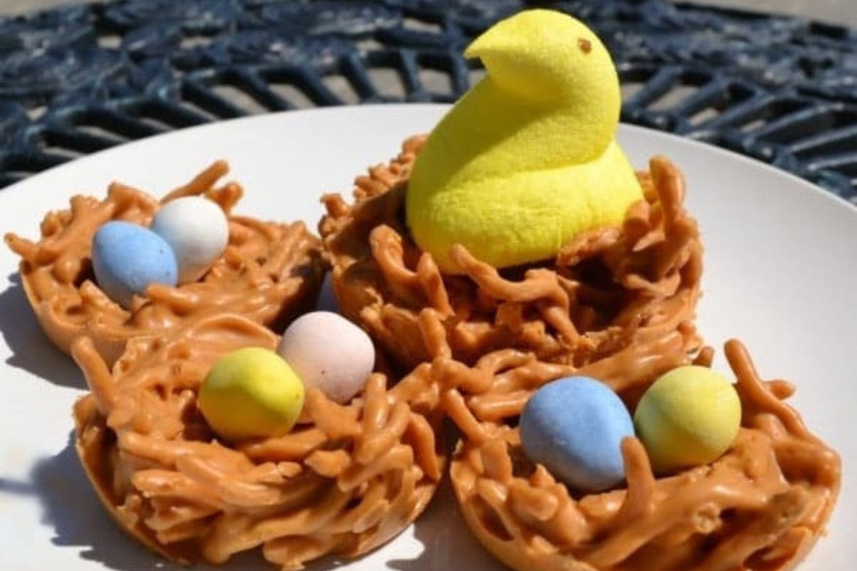 A white plate holds four birds nest cookies.