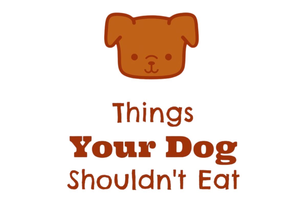 Simple drawing of a dog's face above the text 