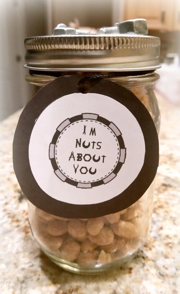Nuts About You DIY Fathers Day Gift