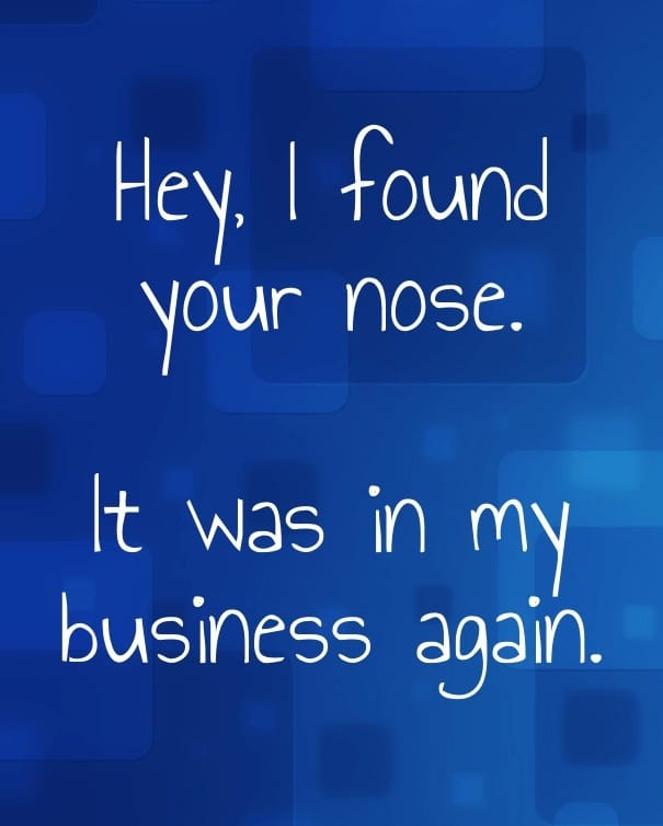Title text on a blue background reading Hey, I found your nose. It was in my business again.