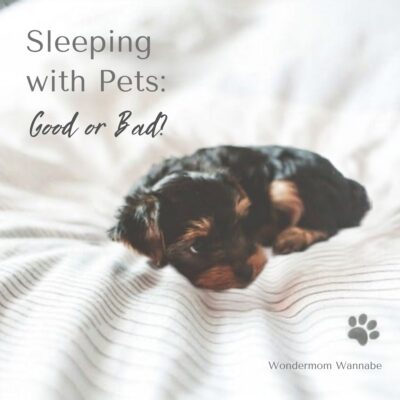 A small puppy lies on a white bed with the text "Sleeping with Pets: Good or Bad?" highlighting the question of whether sleeping with pets is beneficial, and "Wondermom Wannabe" displayed.