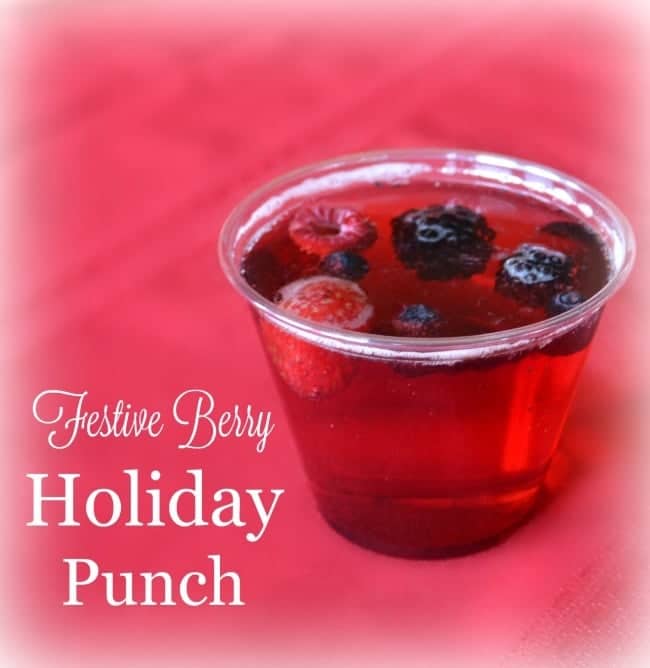 Festive Berry Non-Alcoholic Holiday Punch