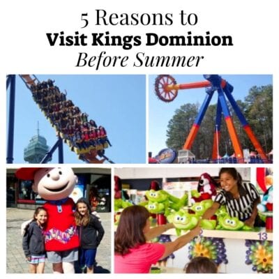 Collage of rides, games, and characters at Kings Dominion theme park with the text "5 Reasons to Visit Kings Dominion Before Summer" at the top.