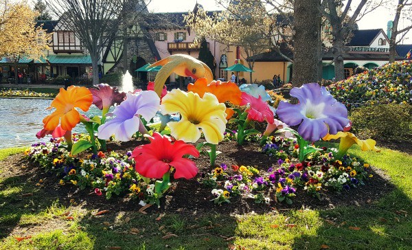 Flower Display at Kings Dominion