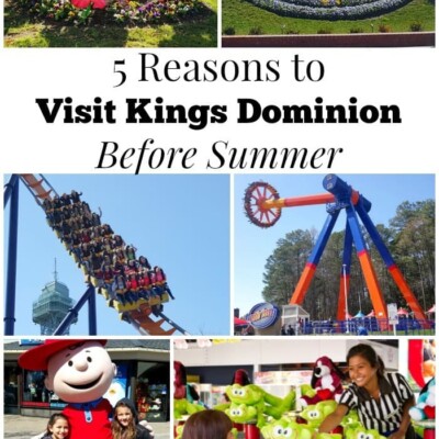 Collage of Kings Dominion