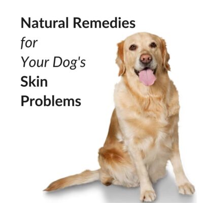 A golden retriever sits beside text that reads: "Natural Remedies for Dog Skin Problems" on a white background, highlighting gentle solutions for your pet’s skin health.