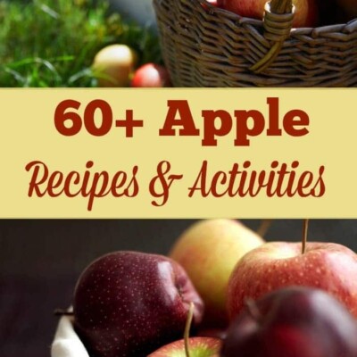 This collection of over 60 apple recipes and activities is sure to inspire some wonderful fall memories.