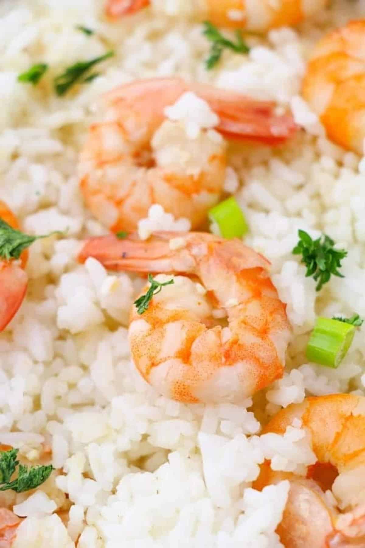 A closeup of shrimp scampi with rice.