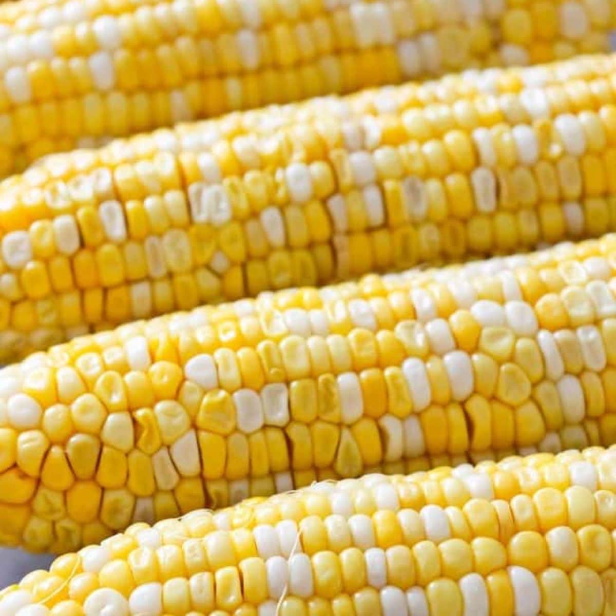 A close up of instant pot corn on the cob.
