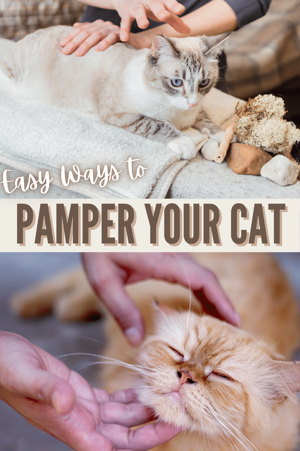 Cat owners know how much our feline friends contribute to our lives. Here are some ways to pamper your cat to show affection for your adorable fur baby. #cat #felinefriend #catlover via @wondermomwannab