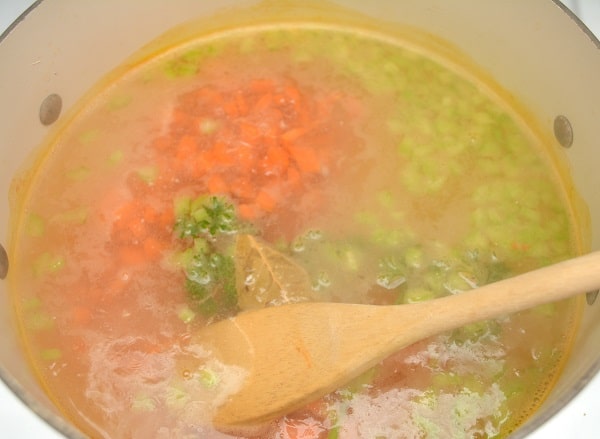 chicken broth, celery, carrots, parsley and a bay leaf in a large pot with a wooden spoon in it