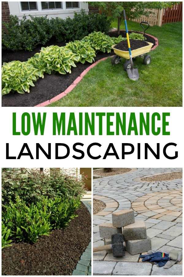 a collage of three different landscapes, some with dirt and plants, some with grass, some with bricks, with title text reading Low Maintenance Landscaping 