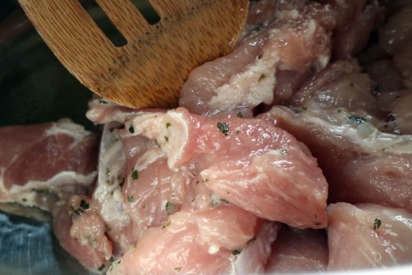 raw cut up pieces of pork roast and a spoon in an instant pot