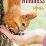 a squirrel headed down a tree stopping to gather seeds from a person's hand with title text reading 200+ Acts of Kindness ideas