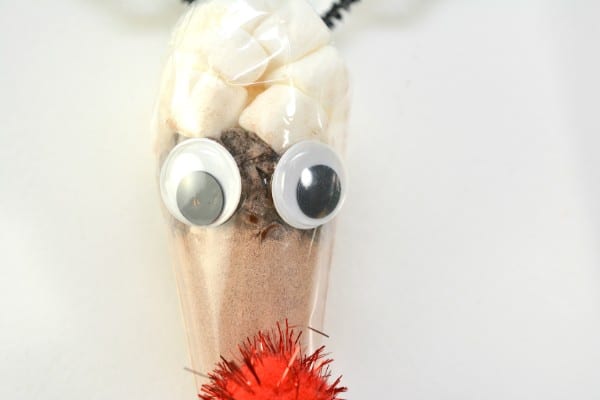 a cone shaped plastic bag with marshmallows, mini chocolate chips and hot cocoa mix in it with a black pipe cleaner twisted at the top and a red pompom under the googly eyes