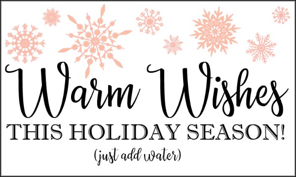 a printable gift tag that reads Warm Wishes This Holiday Season just add water