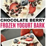 Chocolate Berry Frozen Yogurt Bark photo collage