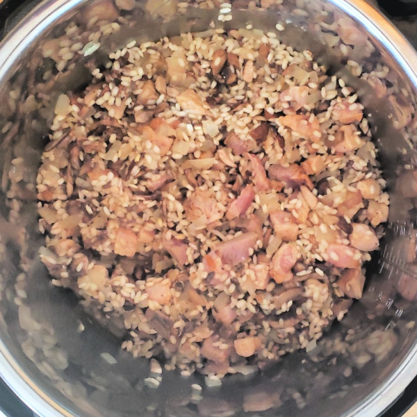 pork, rice, onions, mushrooms in an instant pot