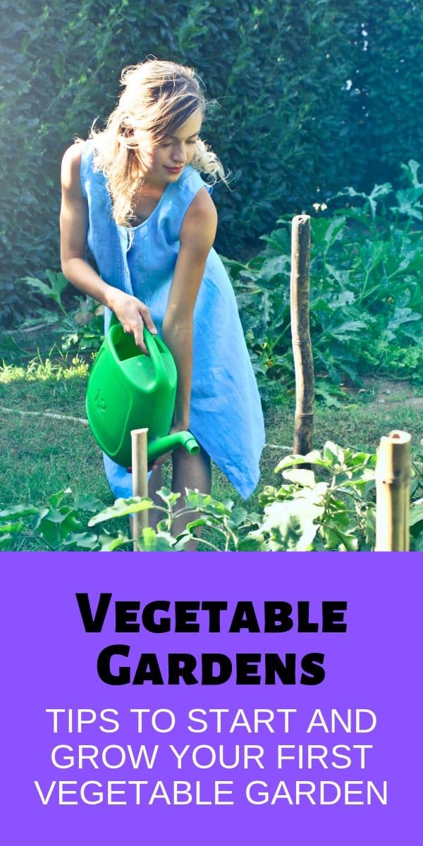 female holding watering can watering the vegetable plants in her garden with title text reading Vegetable Gardens Tips To Start And Grow Your First Vegetable Garden
