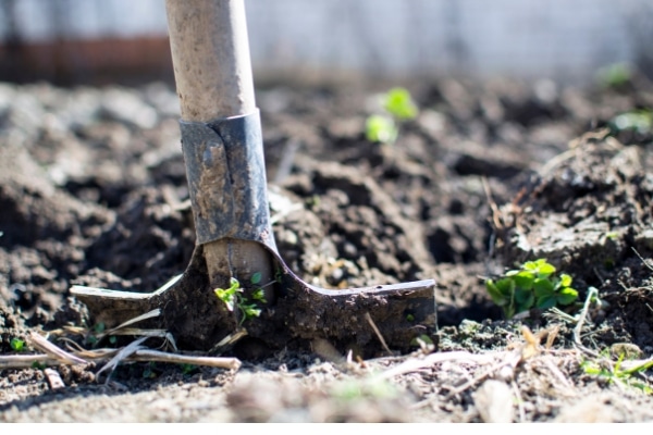 shovel digging up dirt in garden 