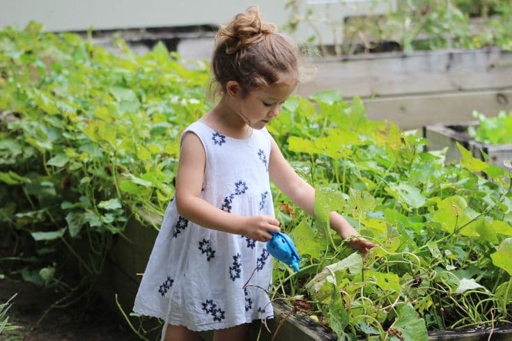 little girl watering her garden