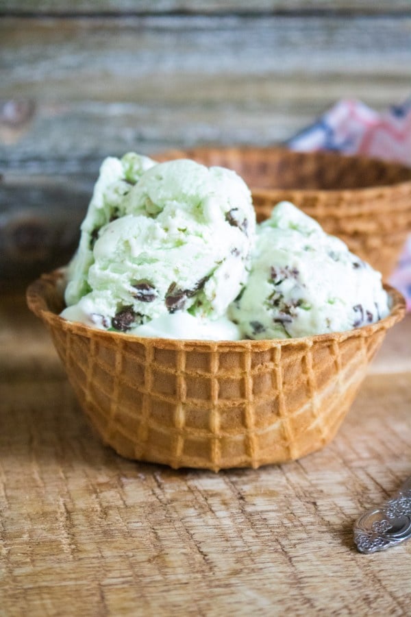 bowl of homemade mint chip ice cream