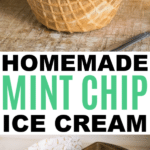 easy homemade mint chip ice cream recipe