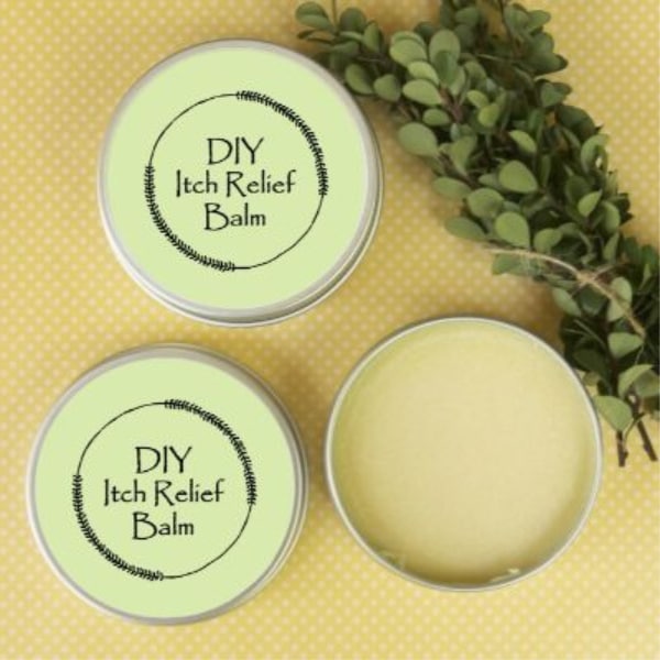 essentail oil itch relief balm on a yellow background next to greenery
