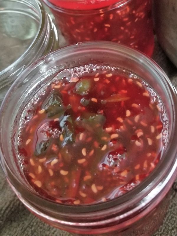 raspberry hot pepper jelly recipe in glass jars