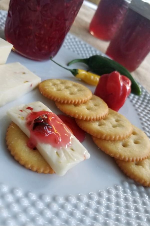 raspberry hot pepper jelly on a slice of cheese on a cracker on a white plate with more crackers and cheese in the background and jars of jelly
