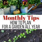 gardening tips every month