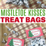 Mistletoe Kisses Treat Bags