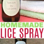 homemade lice spray