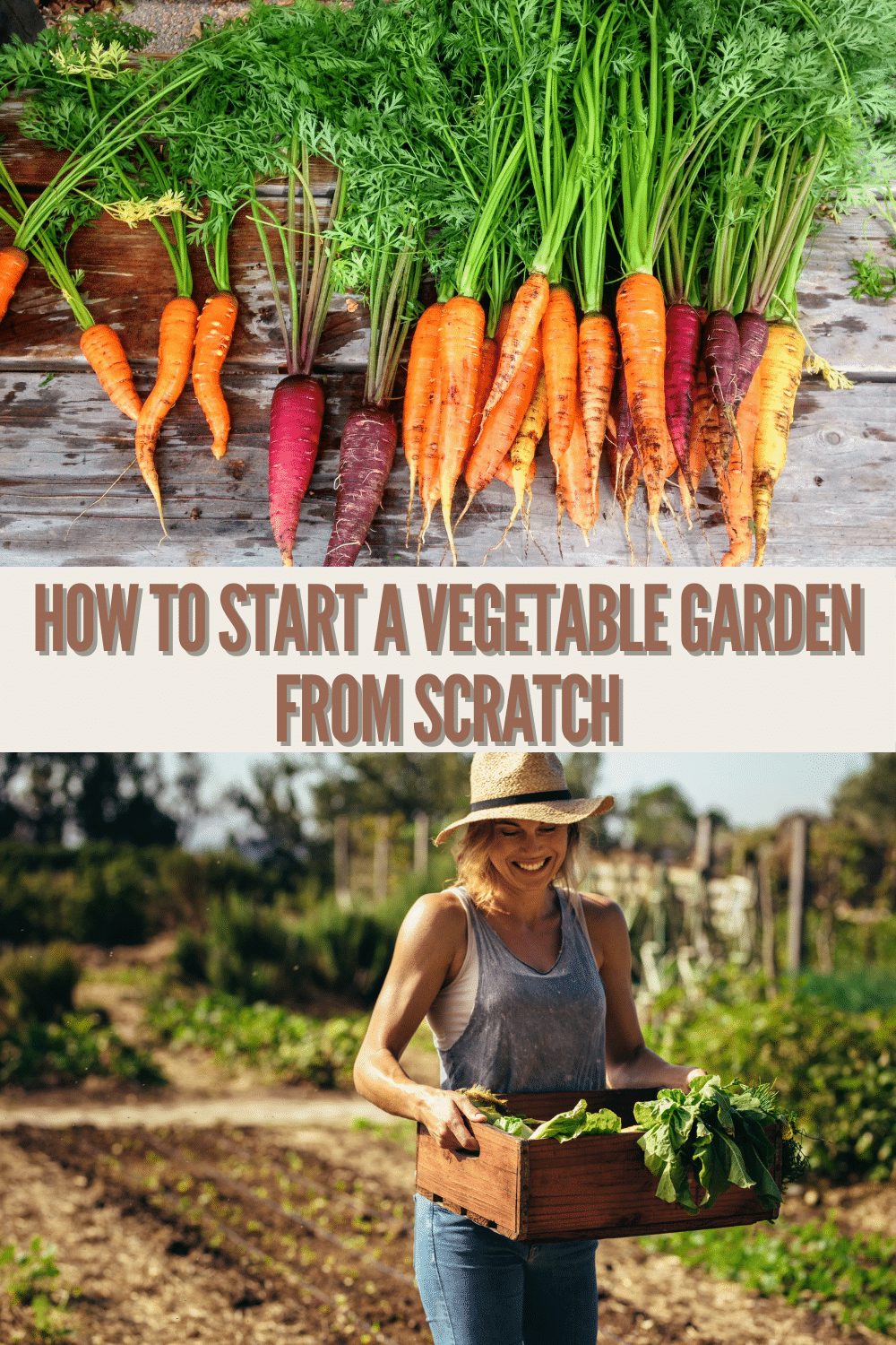 If you're looking for how to start a vegetable garden, you're in luck! These simple tips will have you growing your own food in no time at all! #gardening #tips #vegetable #greenthumb via @wondermomwannab